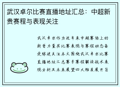 武汉卓尔比赛直播地址汇总：中超新贵赛程与表现关注