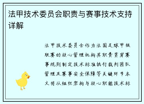 法甲技术委员会职责与赛事技术支持详解